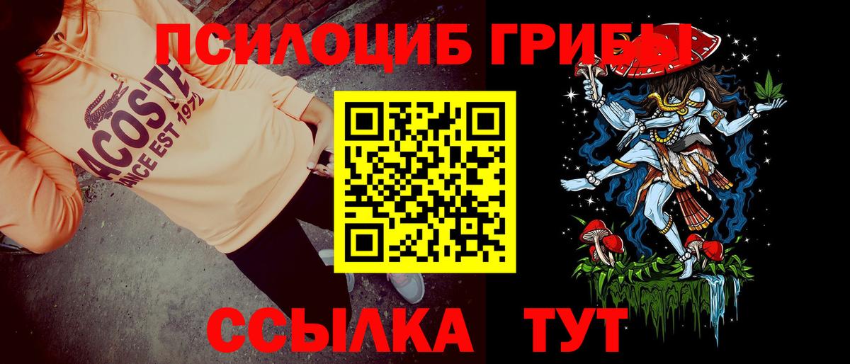 Псилоцибиновые грибы мицелий Алейск