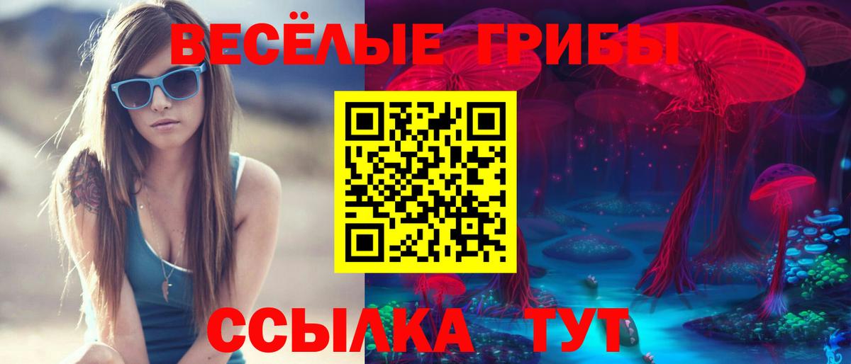Псилоцибиновые грибы мухоморы  Вход с VPN  Псилоцибиновые грибы Magic Shrooms  Алейск 