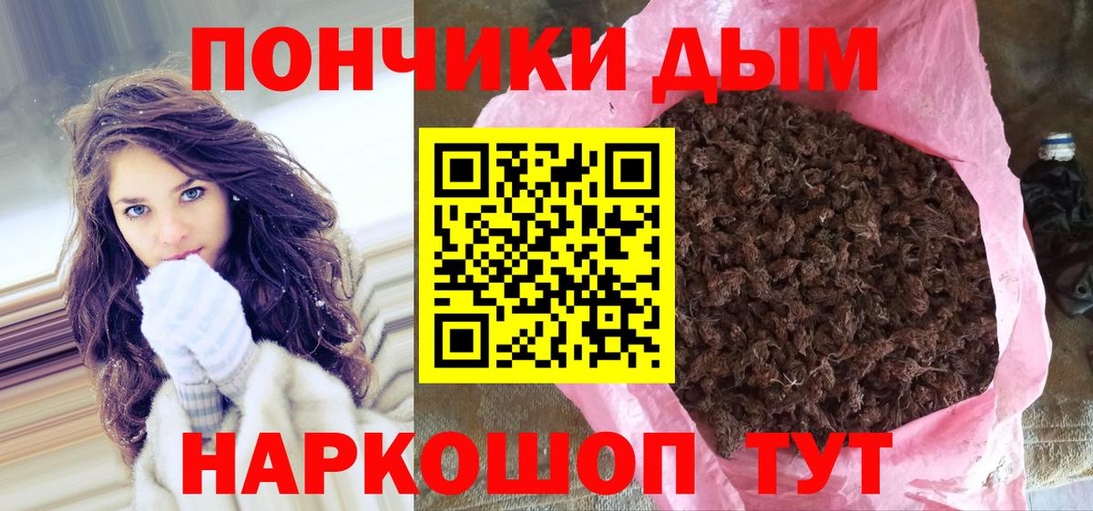 Конопля индика Алейск